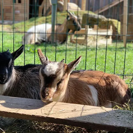 Séjour à la ferme Stefflhof *