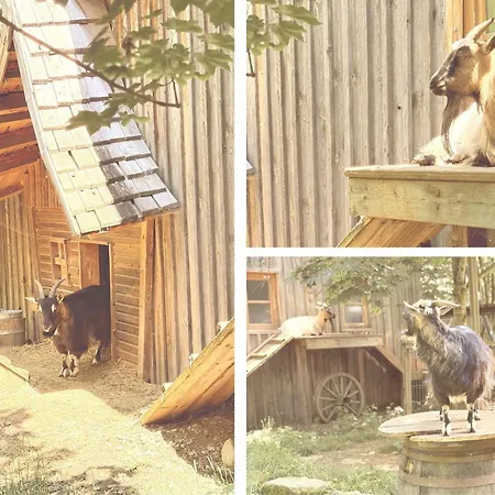 Farm stay Stefflhof *