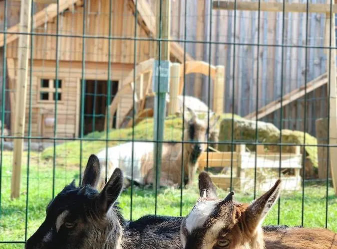 Stefflhof * Gabersdorf