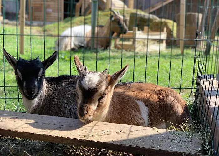 مزرعة للإقامة Stefflhof *