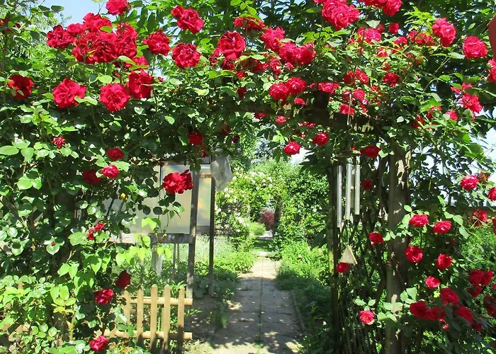 Alloggio per agriturismo Stefflhof